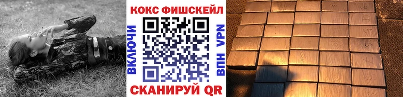 цены   Ревда  Cocaine FishScale 