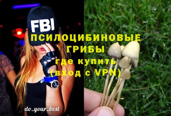 стафф Аркадак