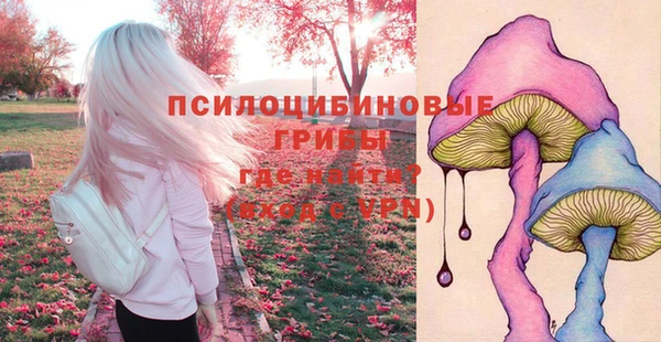 тгк Арсеньев