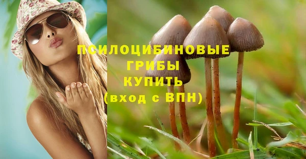 дживик Армянск