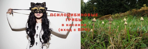 тгк Арсеньев
