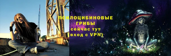 тгк Арсеньев