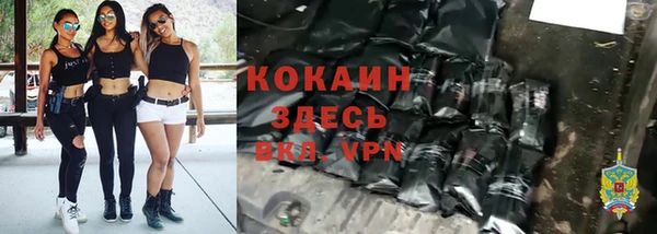 стафф Аркадак