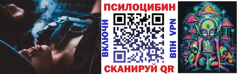 купить наркотики цена  Ревда  нарко площадка какой сайт  Галлюциногенные грибы Psilocybe 